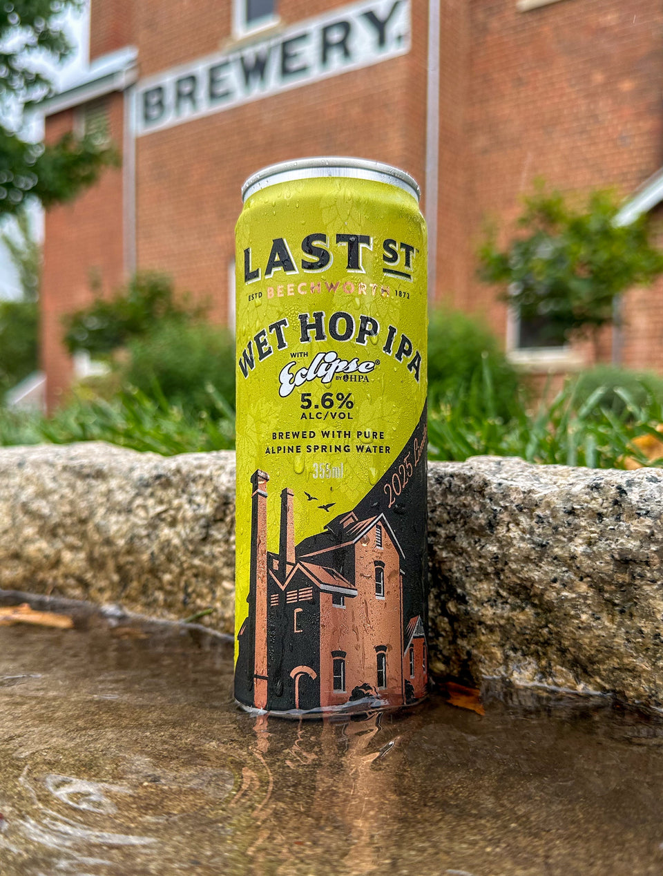 Wet Hop IPA